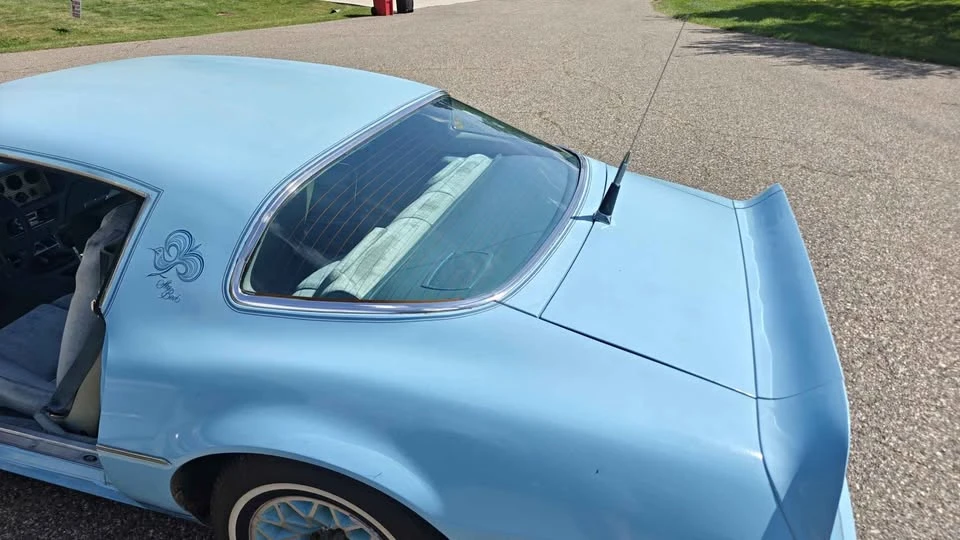 1978 Pontiac Firebird 2nd Gen - Image 20 of 20