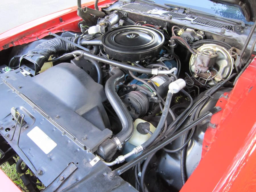 1978 Pontiac Firebird 2nd Gen - Image 8 of 8