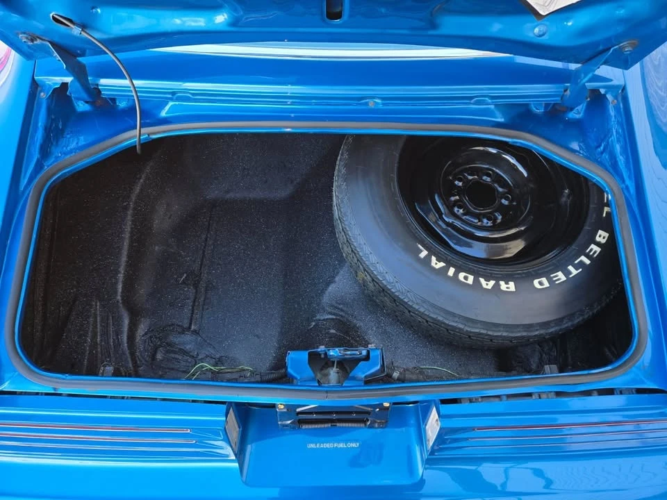 1978 Pontiac Firebird Esprit 2nd Gen - Image 10 of 20