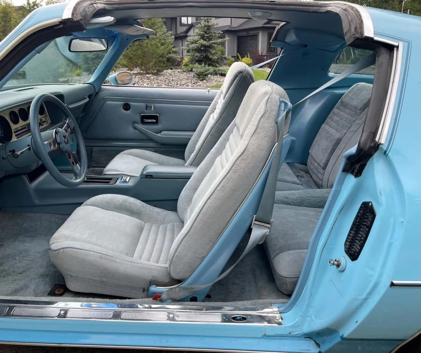 1978 Pontiac Firebird 2nd Gen - Image 19 of 31