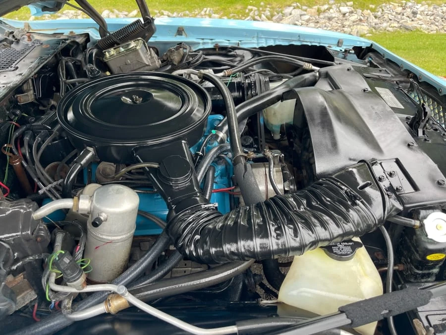 1978 Pontiac Firebird 2nd Gen - Image 29 of 31