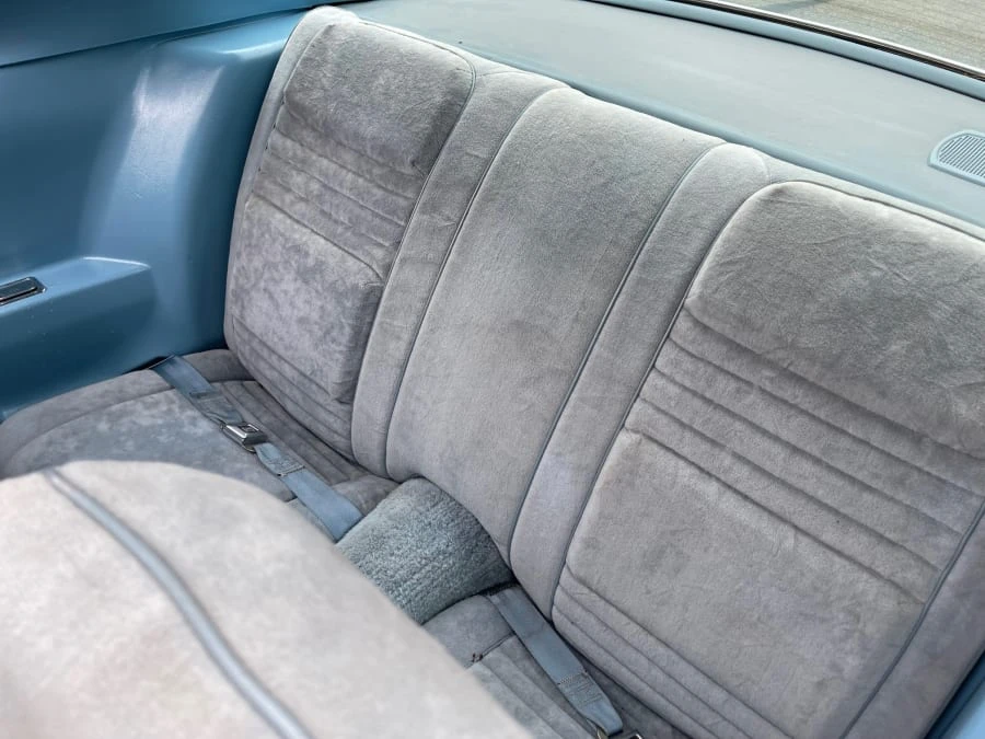 1978 Pontiac Firebird 2nd Gen - Image 21 of 31