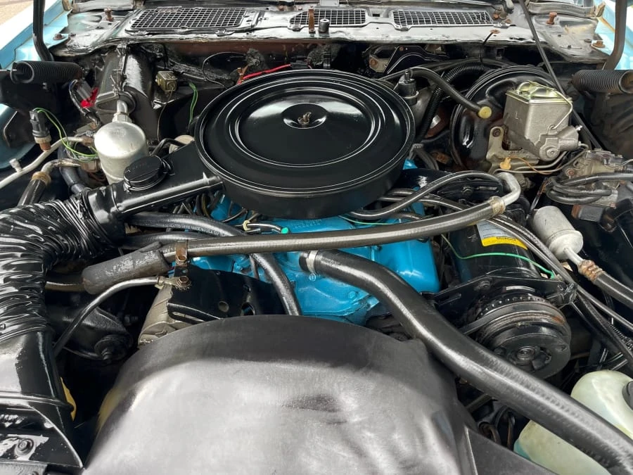 1978 Pontiac Firebird 2nd Gen - Image 31 of 31