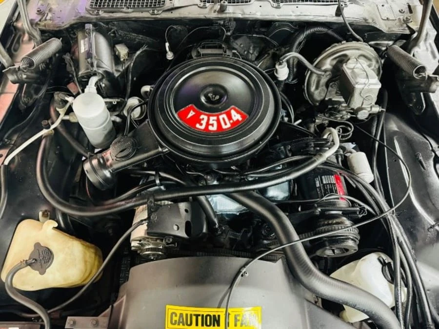 1978 Pontiac Firebird 2nd Gen - Image 13 of 14