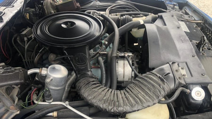 1978 Pontiac Firebird 2nd Gen - Image 12 of 17