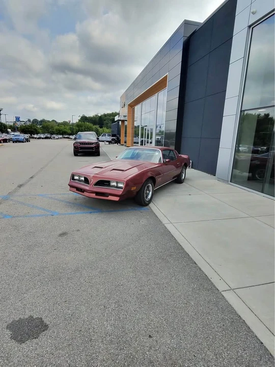 1978 Pontiac Firebird Formula 2nd Gen - Image 2 of 11