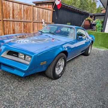 1978 Pontiac Firebird