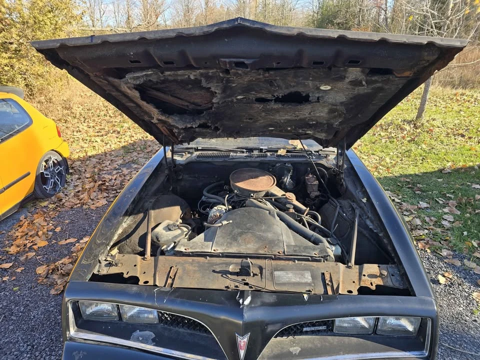 1978 Pontiac Firebird 2nd Gen - Image 5 of 11