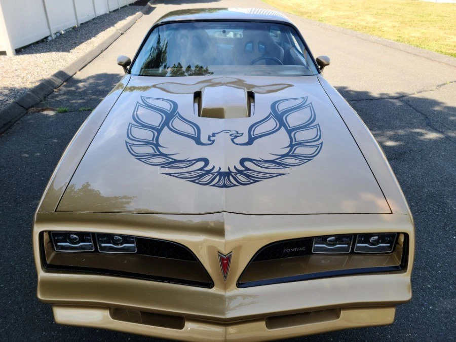 1978 Pontiac Firebird 2nd Gen - Image 2 of 20