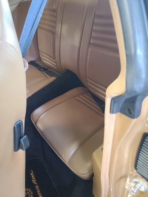 1978 Pontiac Firebird 2nd Gen - Image 10 of 20