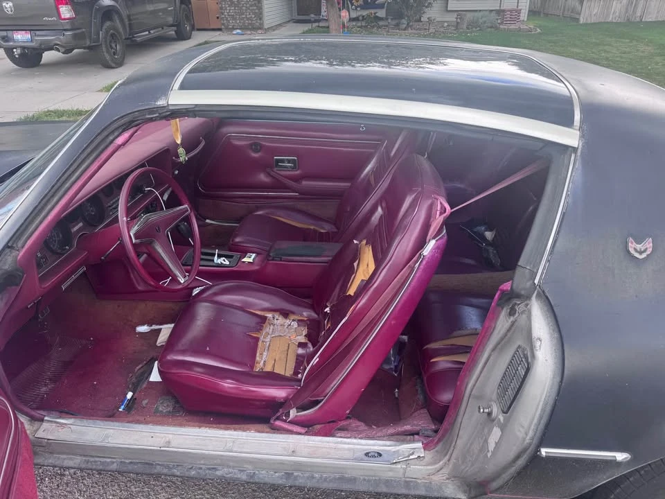 1978 Pontiac Firebird 2nd Gen - Image 10 of 11