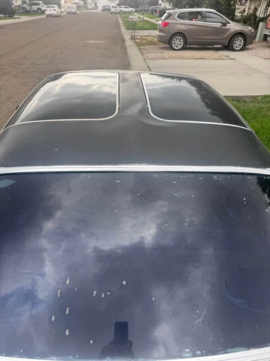 1978 Pontiac Firebird 2nd Gen - Image 3 of 11