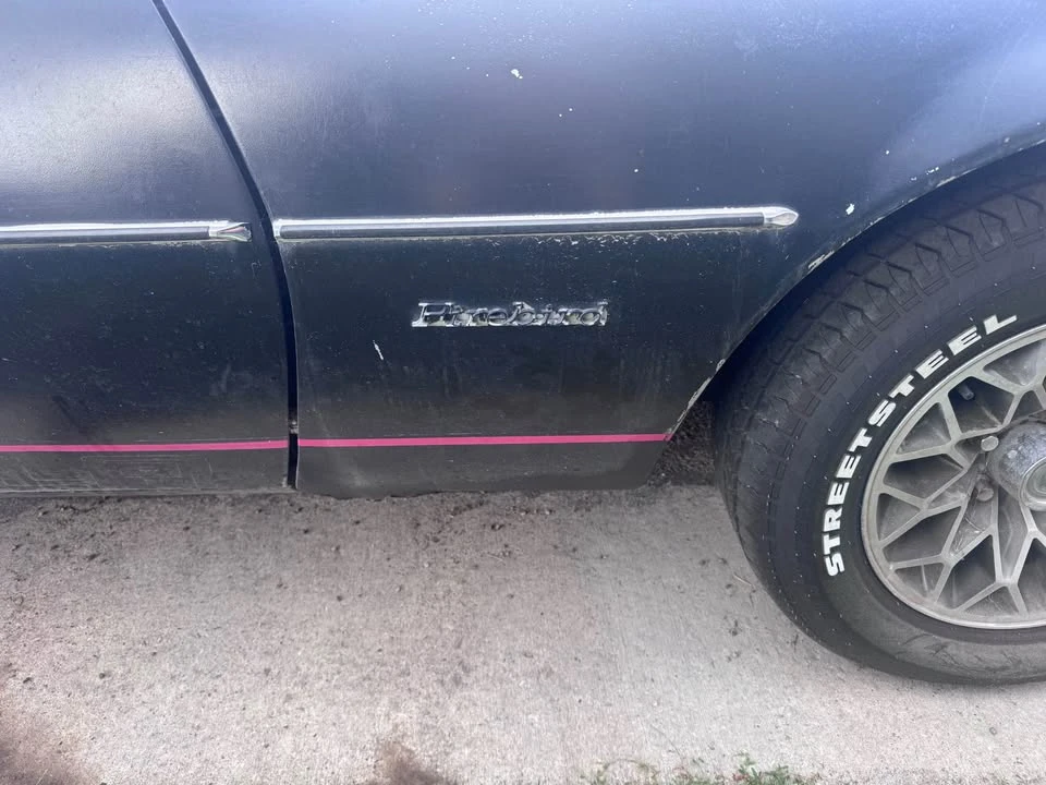 1978 Pontiac Firebird 2nd Gen - Image 6 of 11