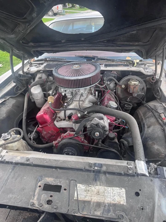 1978 Pontiac Firebird 2nd Gen - Image 8 of 11