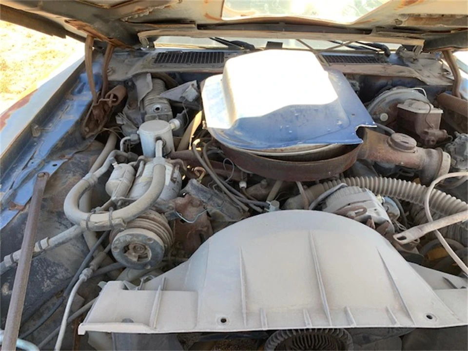 1978 Pontiac Firebird Trans Am 2nd Gen - Image 7 of 9