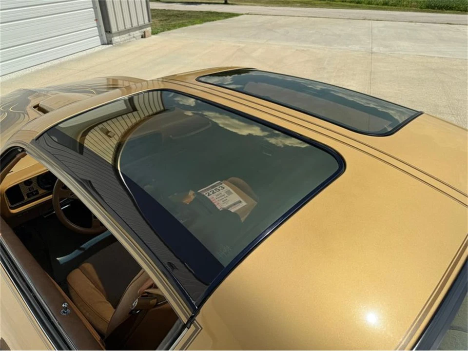 1978 Pontiac Firebird Trans Am 2nd Gen - Image 18 of 30