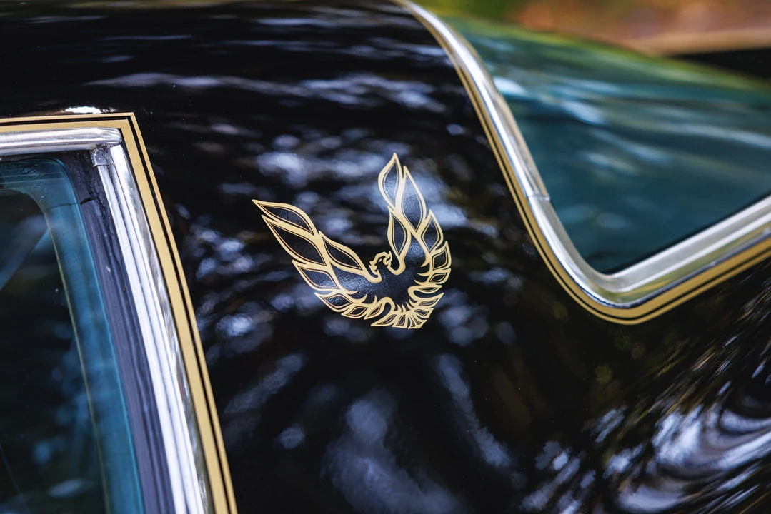 1978 Pontiac Firebird Trans Am 2nd Gen - Image 30 of 31