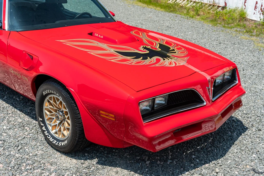1978 Pontiac Firebird Trans Am 2nd Gen - Image 14 of 31