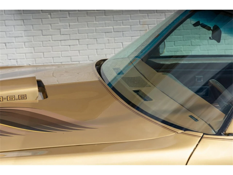 1978 Pontiac Firebird Trans Am 2nd Gen - Image 12 of 31