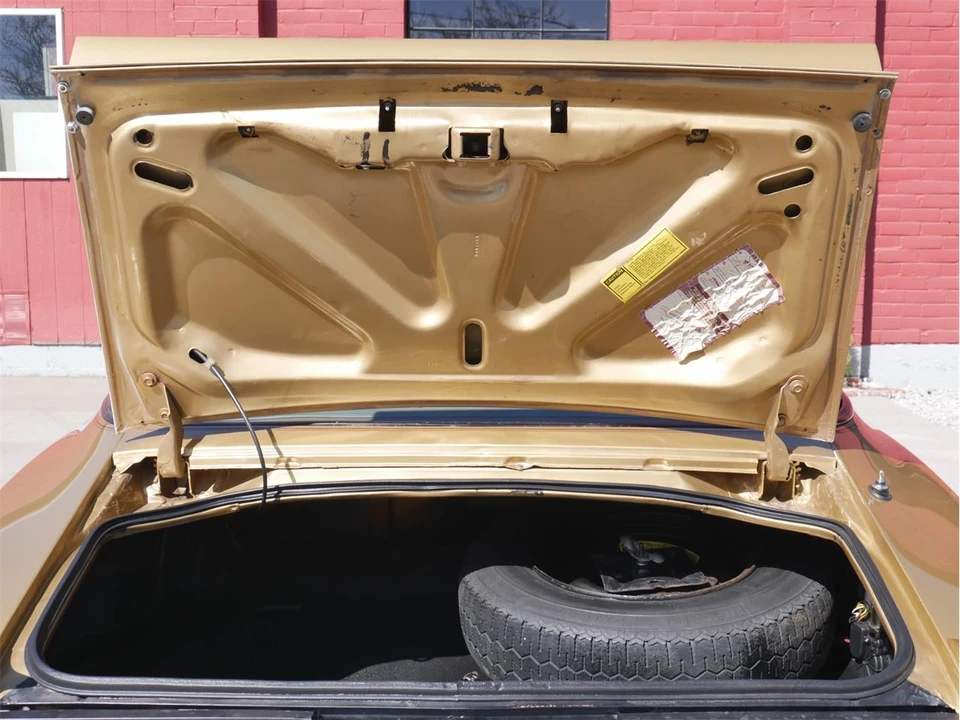 1978 Pontiac Firebird Trans Am 2nd Gen - Image 10 of 31