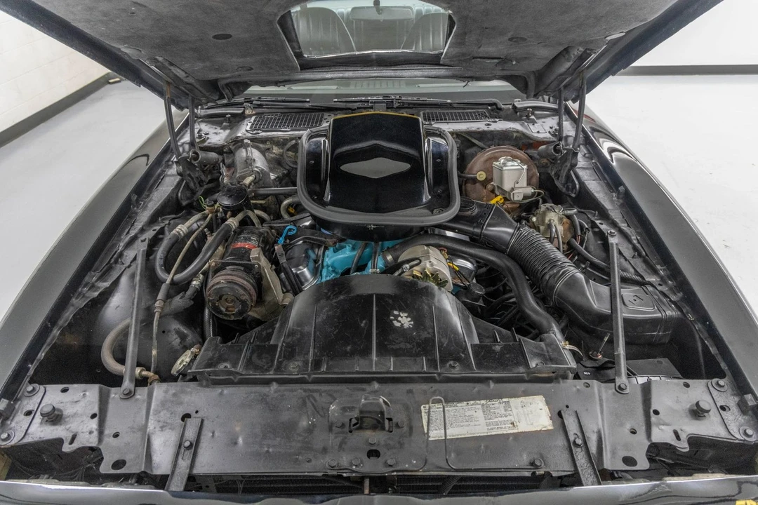 1978 Pontiac Firebird Trans Am 2nd Gen - Image 24 of 31