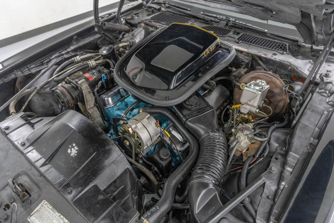 1978 Pontiac Firebird Trans Am 2nd Gen - Image 26 of 31