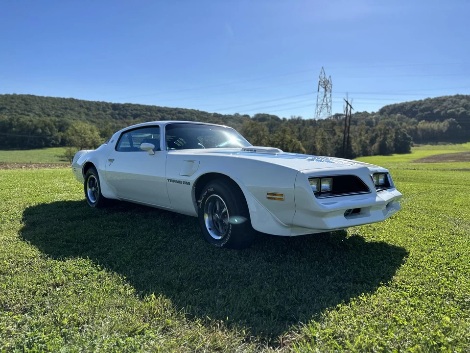 1978 Pontiac Firebird Trans Am 2nd Gen - Image 9 of 31