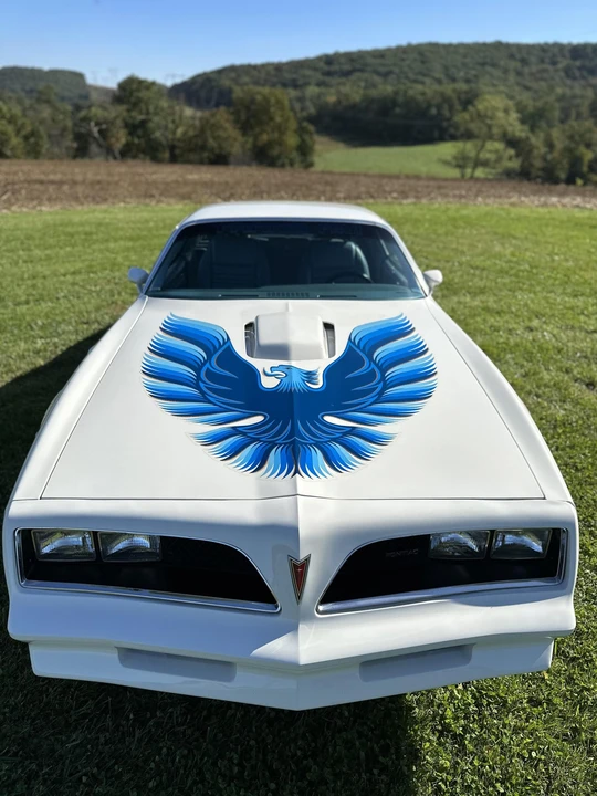 1978 Pontiac Firebird Trans Am 2nd Gen - Image 14 of 31