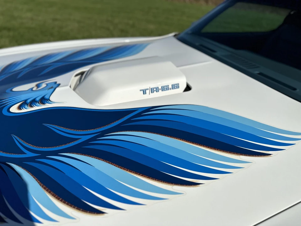 1978 Pontiac Firebird Trans Am 2nd Gen - Image 16 of 31