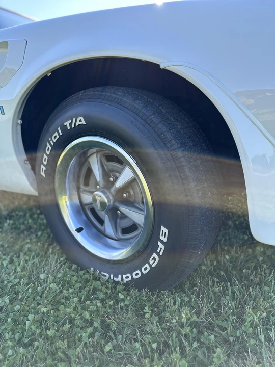 1978 Pontiac Firebird Trans Am 2nd Gen - Image 31 of 31