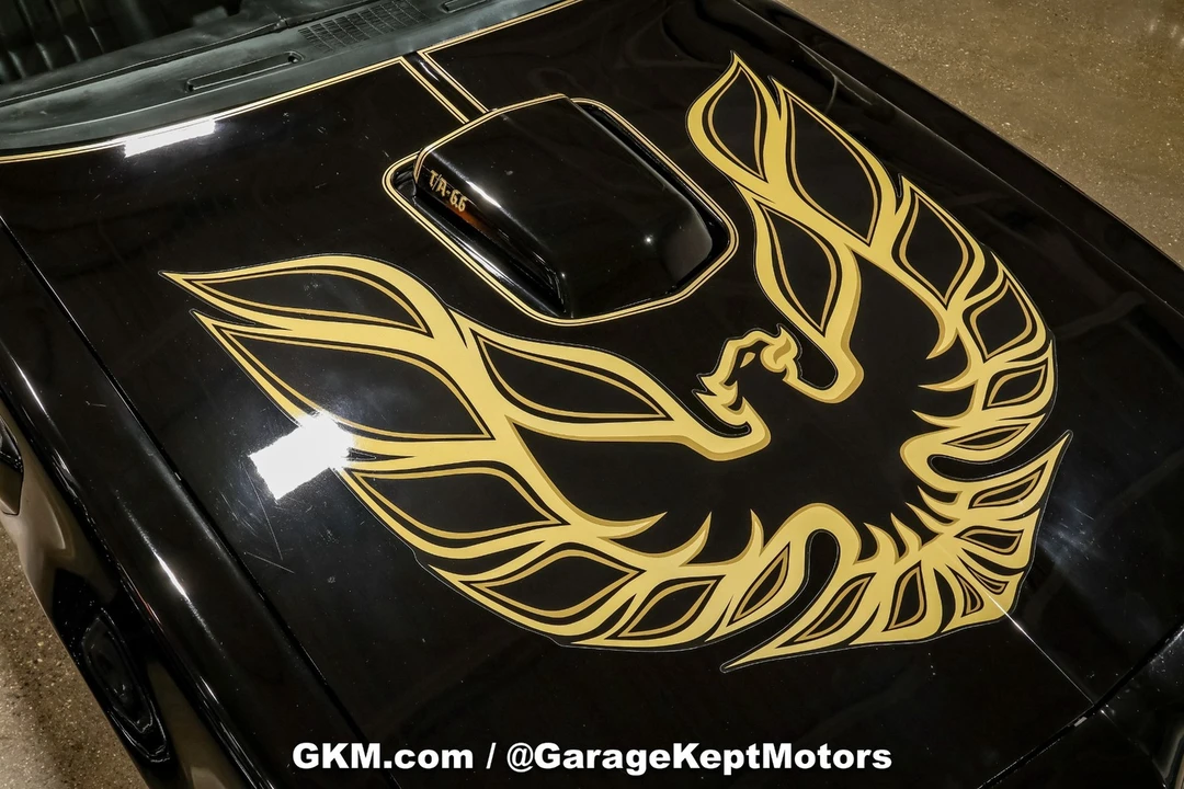 1978 Pontiac Firebird Trans Am 2nd Gen - Image 16 of 31