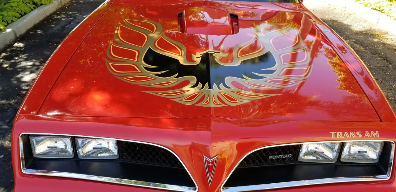 1978 Pontiac Firebird Trans Am 2nd Gen - Image 22 of 31