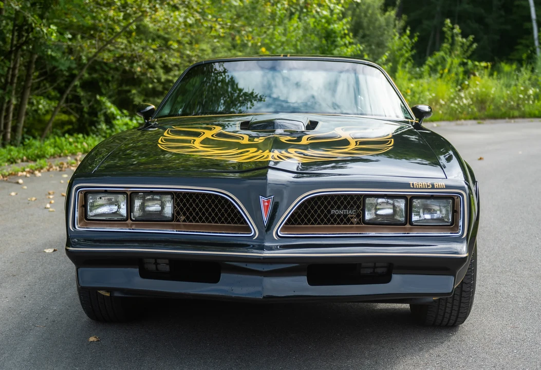 1978 Pontiac Firebird Trans Am 2nd Gen - Image 29 of 31
