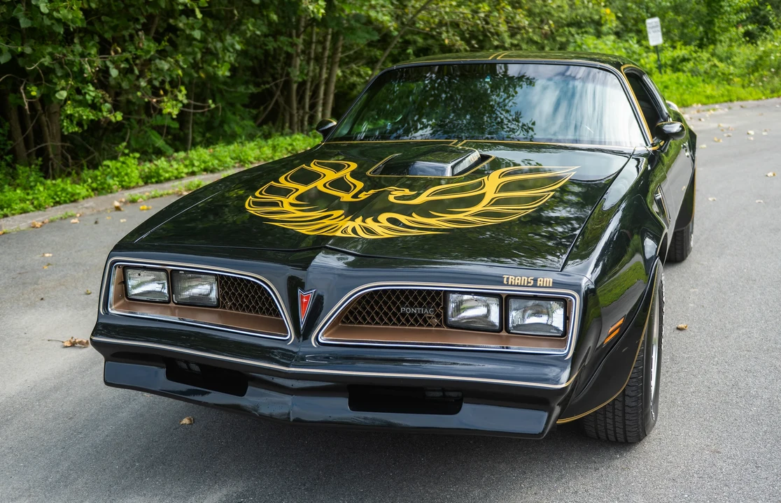1978 Pontiac Firebird Trans Am 2nd Gen - Image 31 of 31
