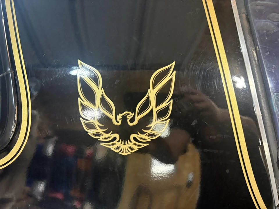 1978 Pontiac Firebird Trans Am 2nd Gen - Image 25 of 31