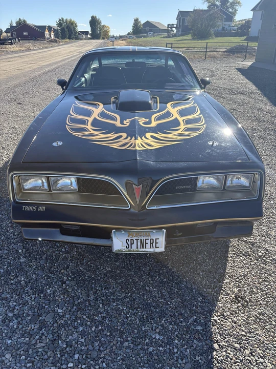 1978 Pontiac Firebird Trans Am 2nd Gen - Image 4 of 31