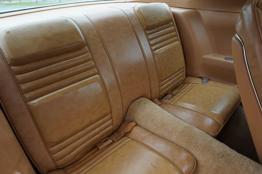 1978 Pontiac Firebird Trans Am 2nd Gen - Image 28 of 31