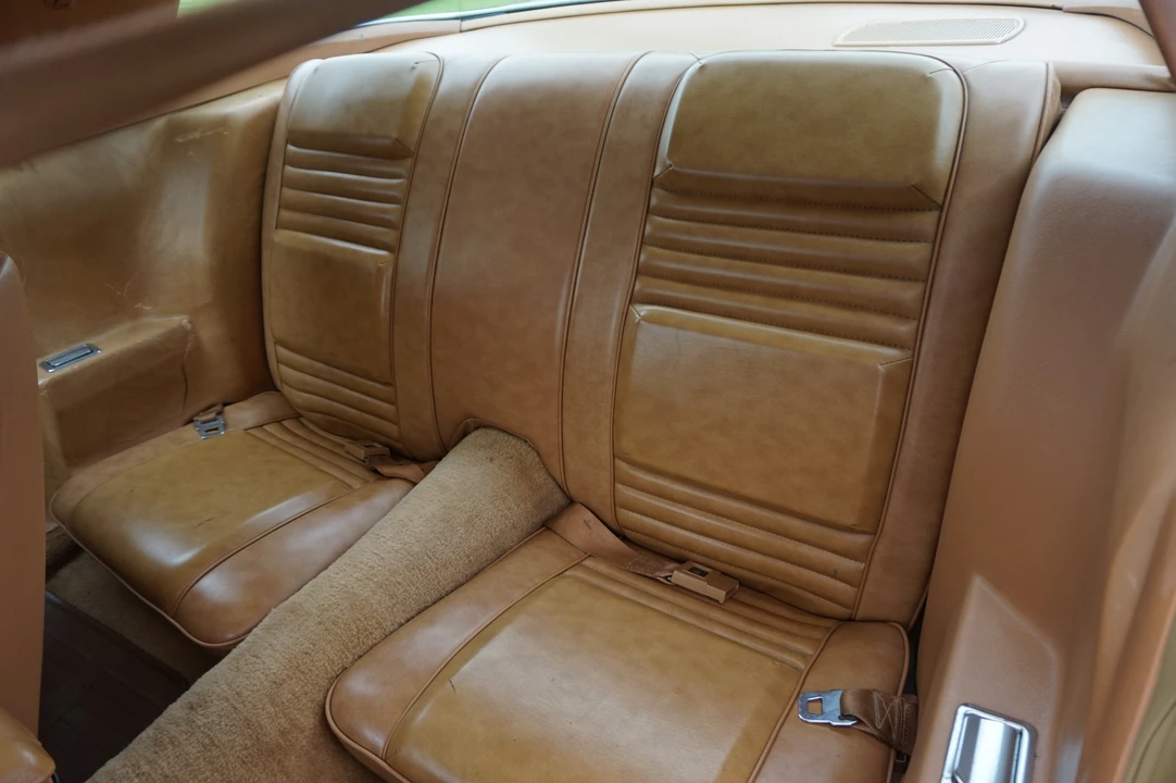 1978 Pontiac Firebird Trans Am 2nd Gen - Image 29 of 31
