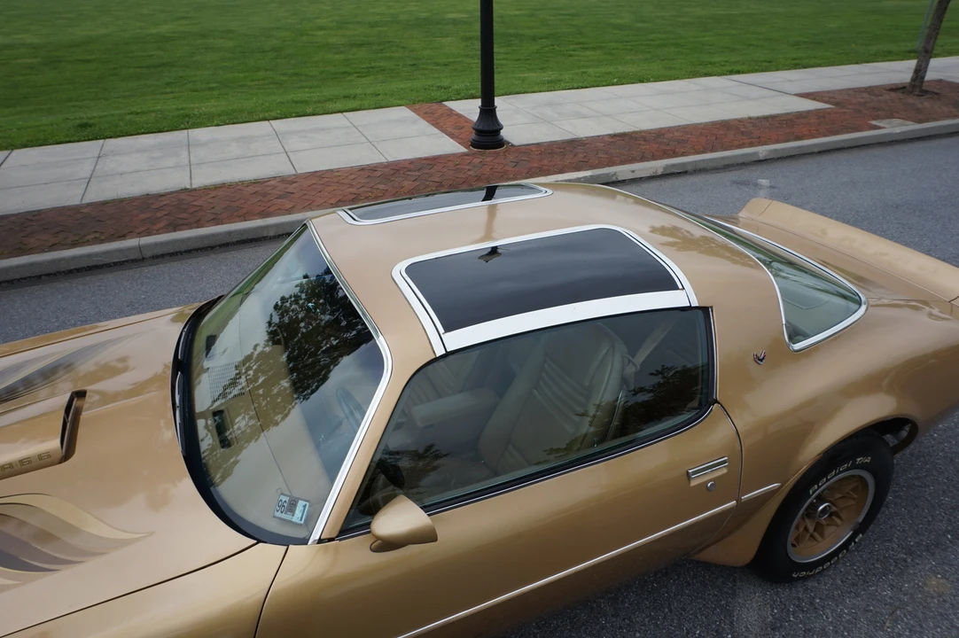 1978 Pontiac Firebird Trans Am 2nd Gen - Image 15 of 31