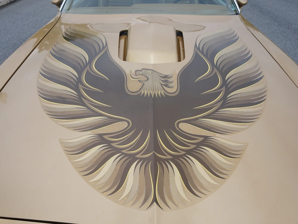1978 Pontiac Firebird Trans Am 2nd Gen - Image 16 of 31