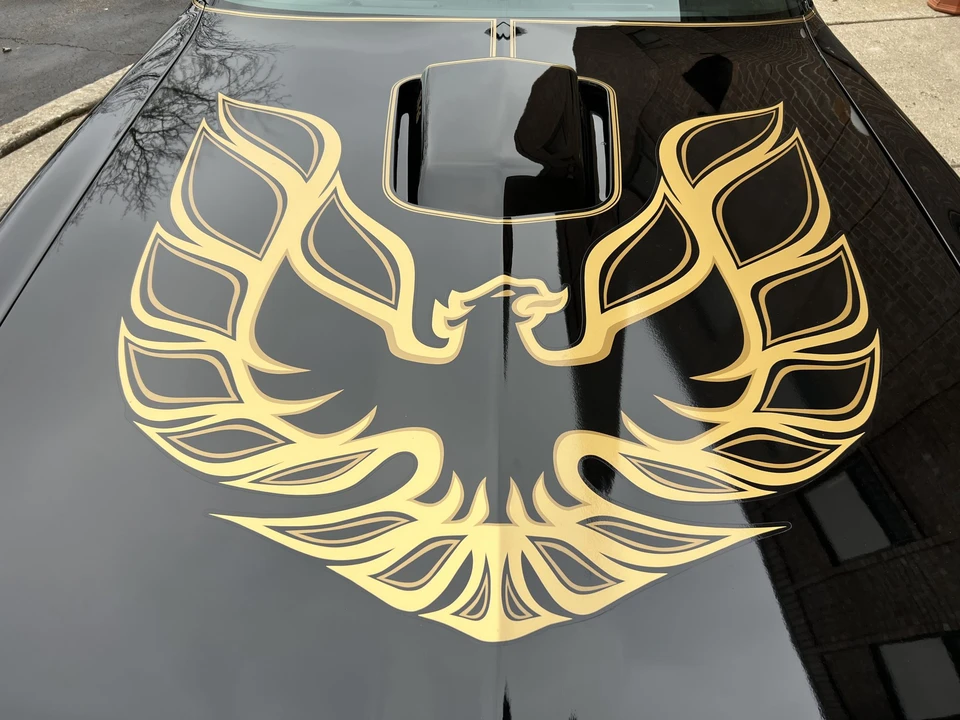 1978 Pontiac Firebird Trans Am 2nd Gen - Image 30 of 31
