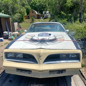 1978 Pontiac Firebird Trans Am