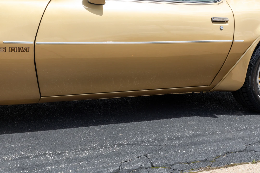 1978 Pontiac Firebird Trans Am 2nd Gen - Image 14 of 31