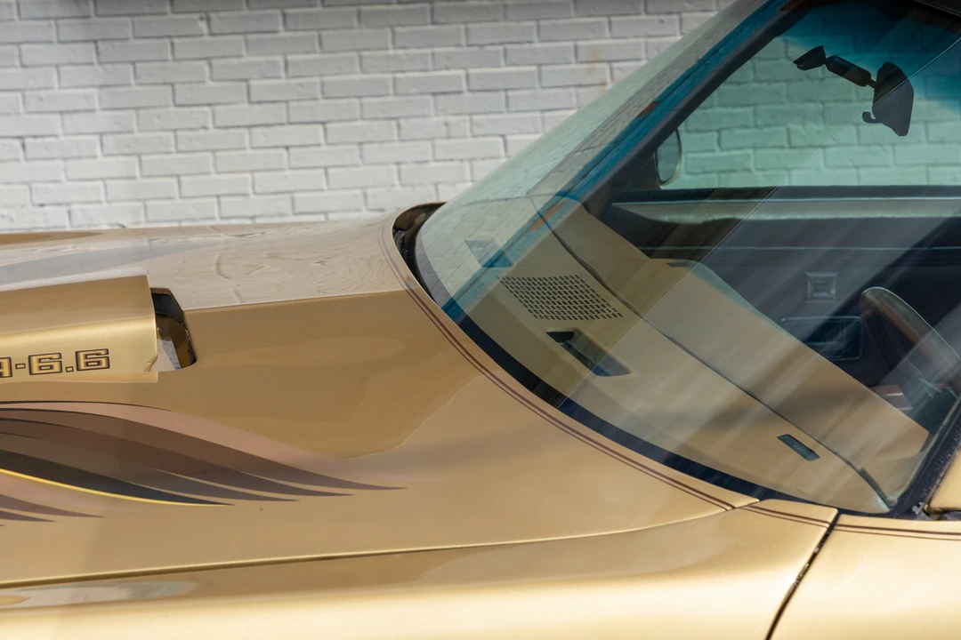 1978 Pontiac Firebird Trans Am 2nd Gen - Image 15 of 31