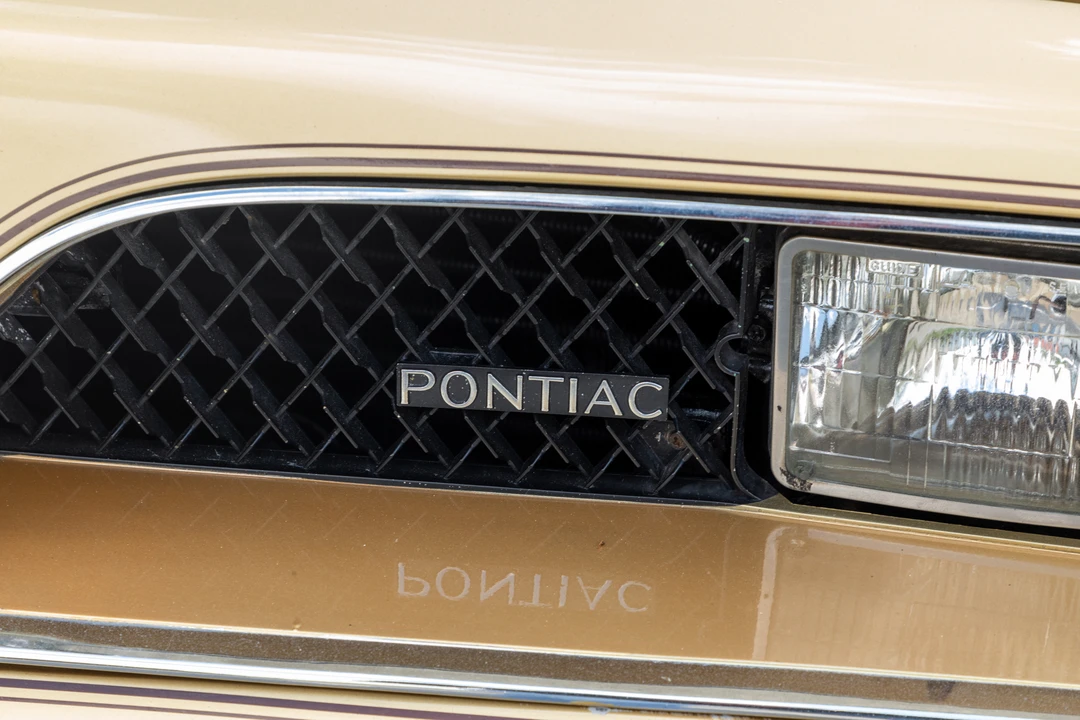 1978 Pontiac Firebird Trans Am 2nd Gen - Image 31 of 31