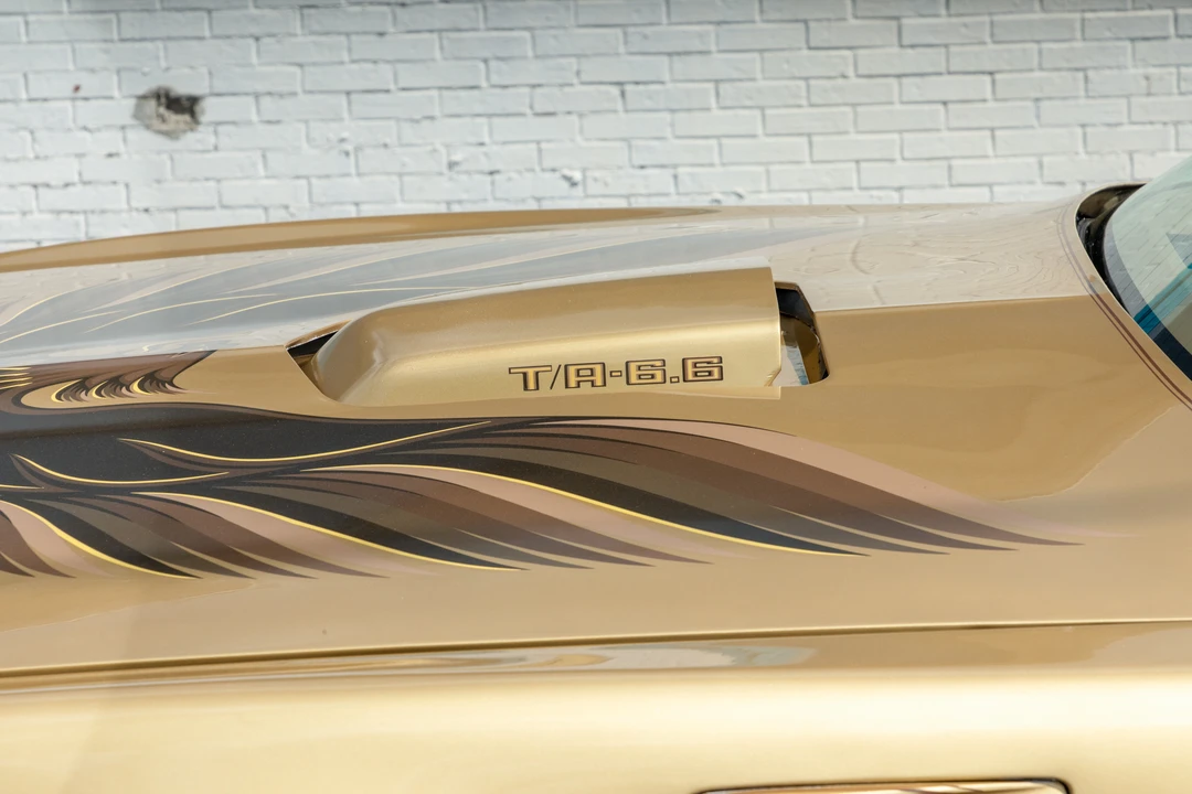 1978 Pontiac Firebird Trans Am 2nd Gen - Image 17 of 31