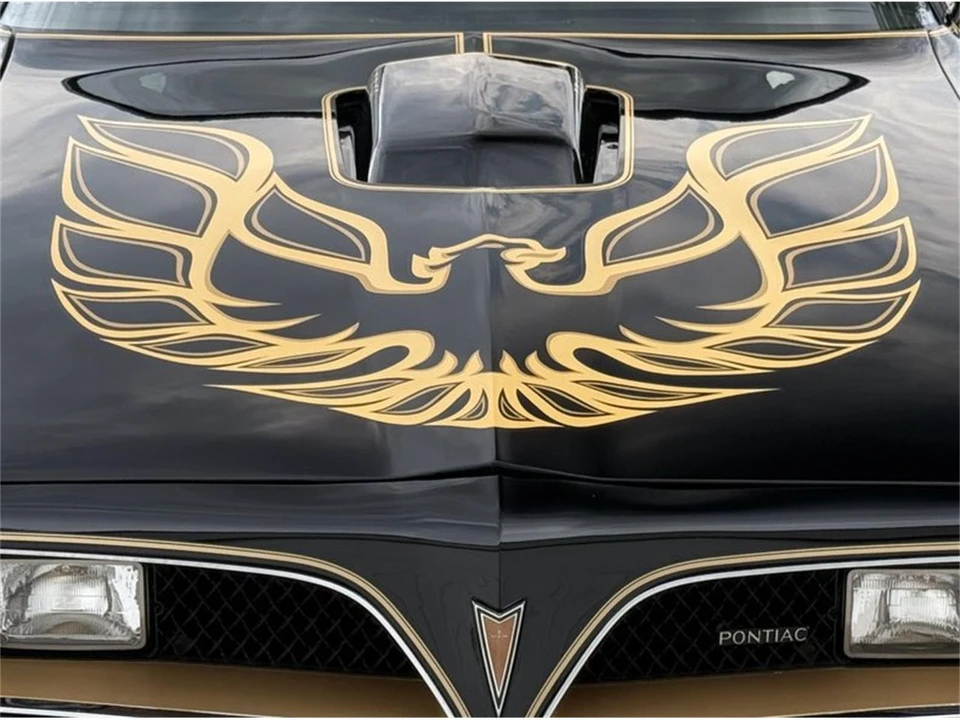 1978 Pontiac Firebird Trans Am 2nd Gen - Image 11 of 31