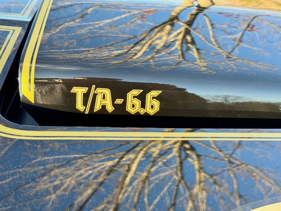1978 Pontiac Firebird Trans Am 2nd Gen - Image 22 of 31