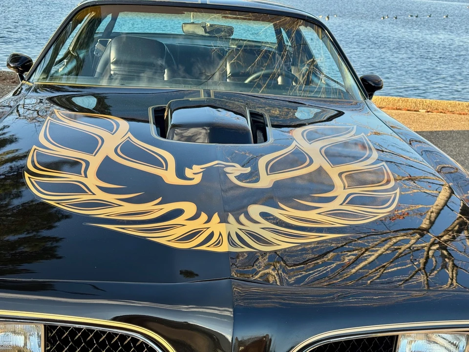 1978 Pontiac Firebird Trans Am 2nd Gen - Image 16 of 31