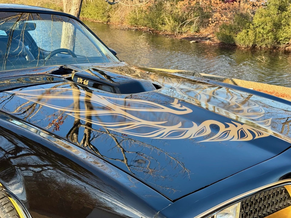 1978 Pontiac Firebird Trans Am 2nd Gen - Image 15 of 31